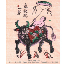 Trâu diều